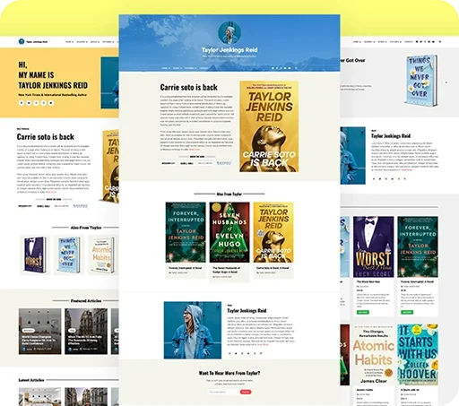 website-box2